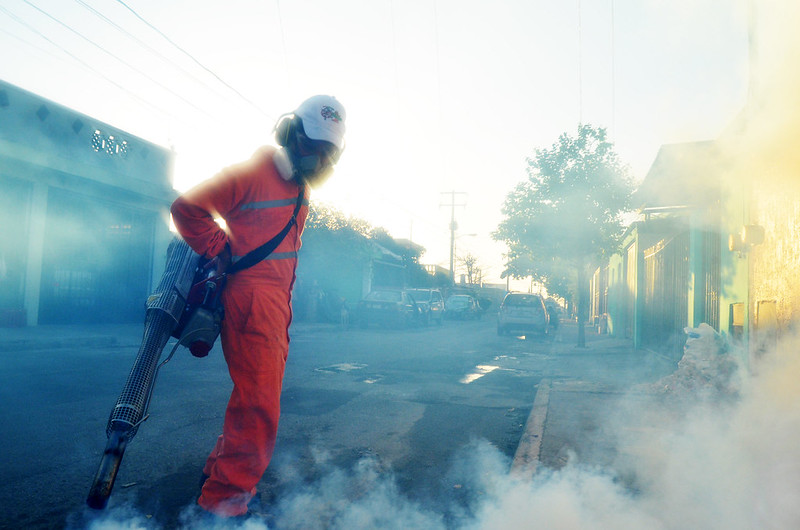 Aumentan casos de dengue en Campeche; van 70 contagios reportados en el 2026